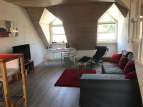 Appartement Ginstertraum